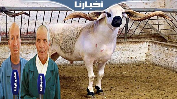 واش المغاربة غدي يعيدو هاد العام وخا الجفاف.. اسمع اش قالوا هاذ الكسابة بمعرض الفلاحة بمكناس